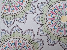 whatsapp image 2025-12-30 at 12.37.35